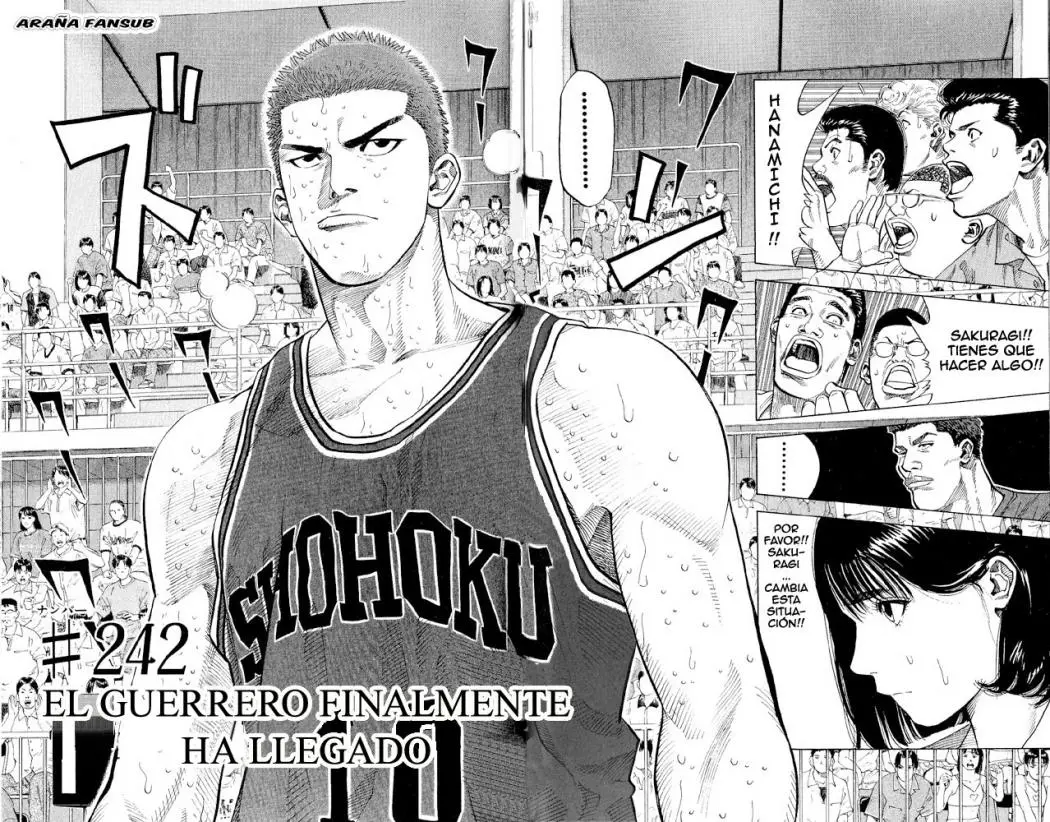 Slam Dunk capítulo 242 página 2