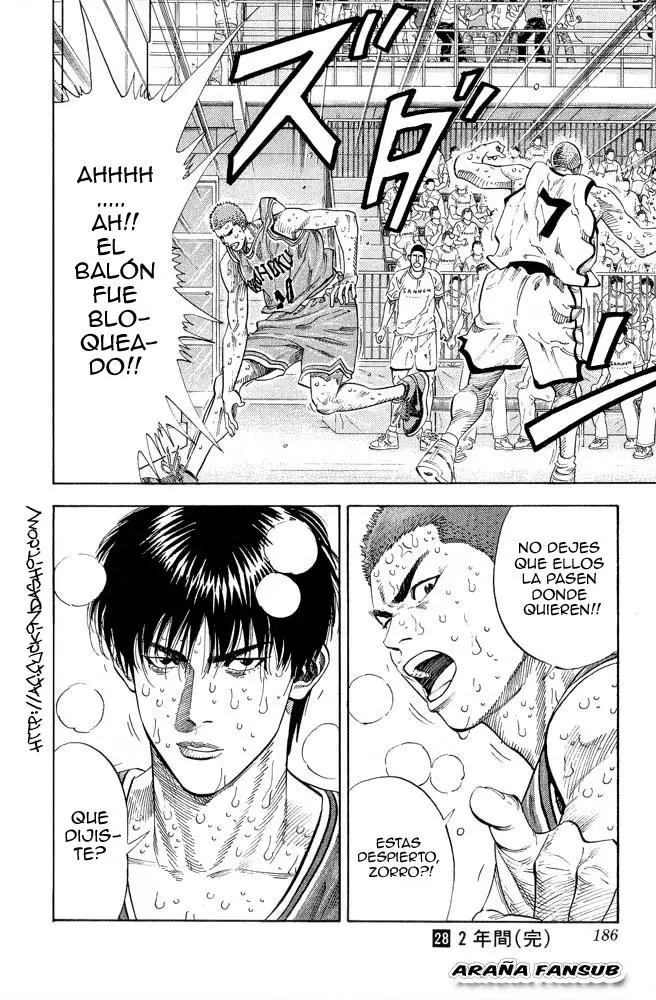 Slam Dunk capítulo 251 página 17
