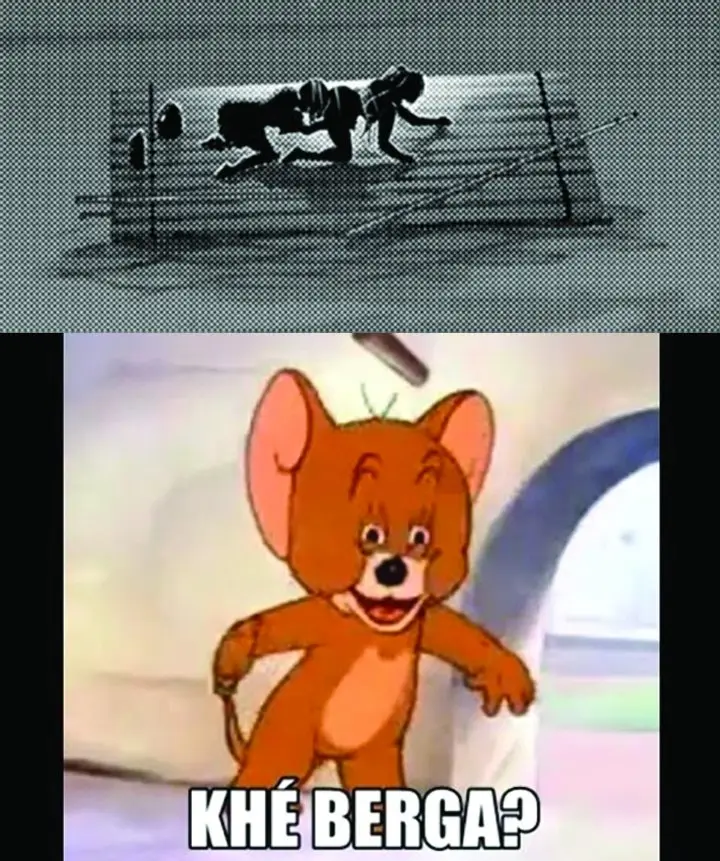 Sounan desu ka? capítulo 37 página 13