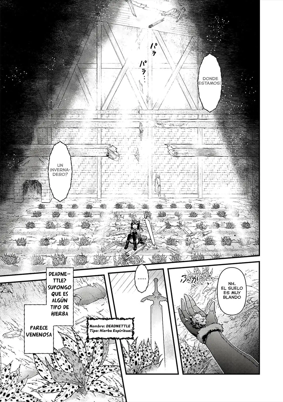 Tensei Shitara Ken Deshita capítulo 29 página 23