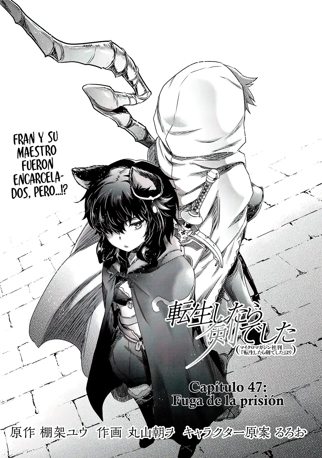 Tensei Shitara Ken Deshita capítulo 47 página 3