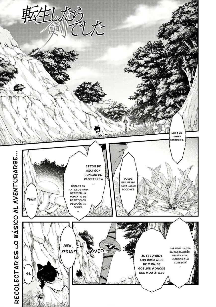 Tensei Shitara Ken Deshita capítulo 8 página 2
