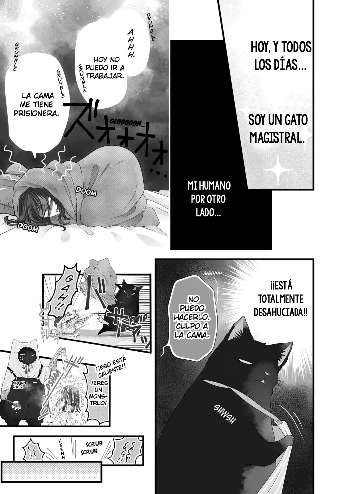 The Masterful Cat Is Depressed Again Today capítulo 22.5 página 12
