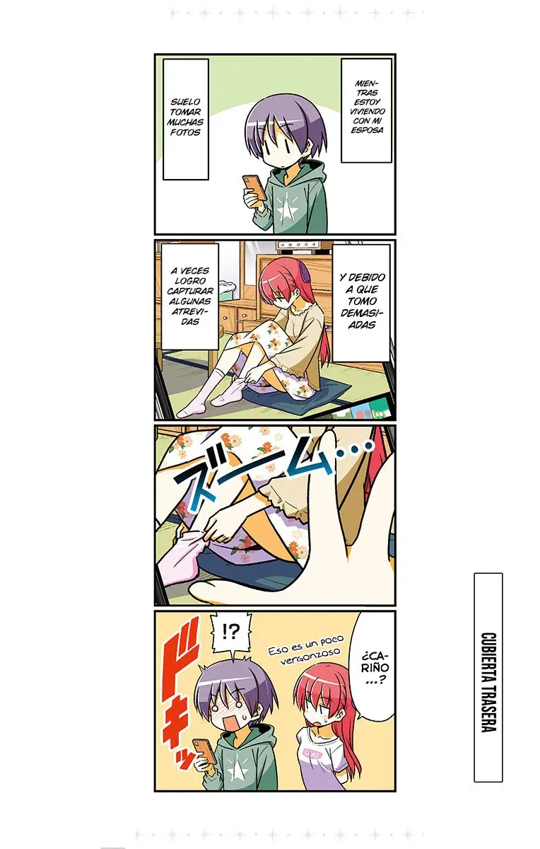 Tonikaku Kawaii capítulo 109.5 página 26