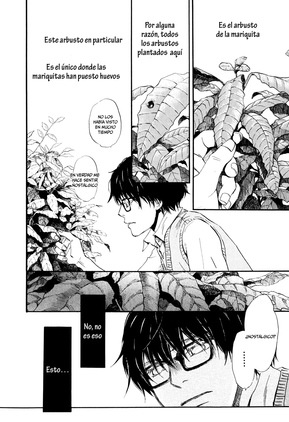 3-gatsu no Lion - Capítulo 51 - Página 4 - LectorTMOo