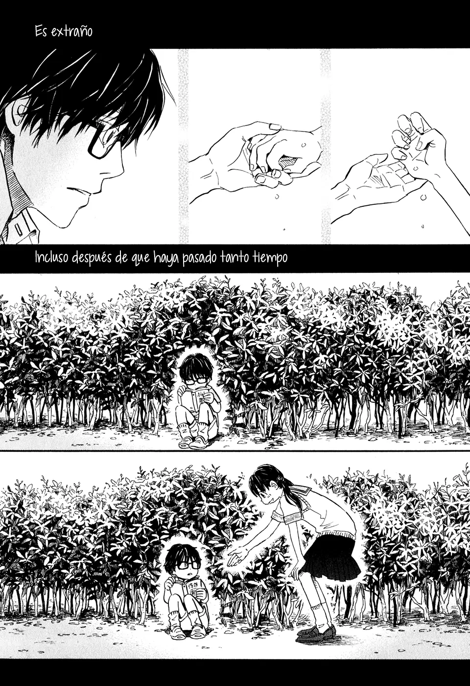 3-gatsu no Lion - Capítulo 52 - Página 14 - LectorTMOo