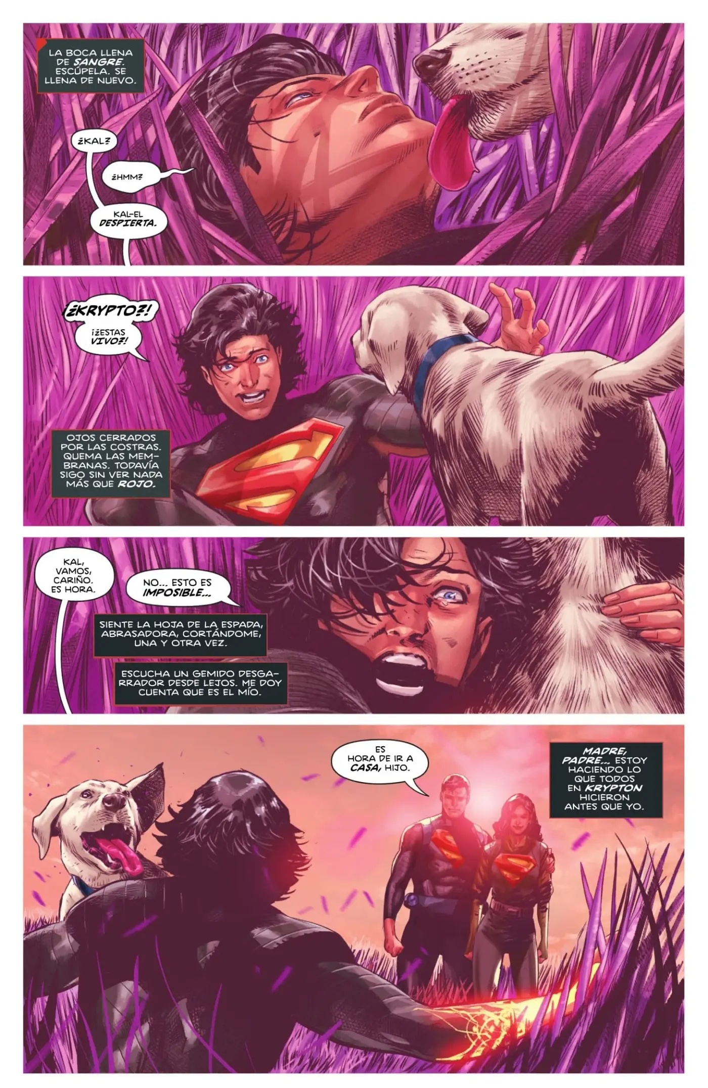 Absolute Superman - Capítulo 14 - Página 6 - LectorTMOo