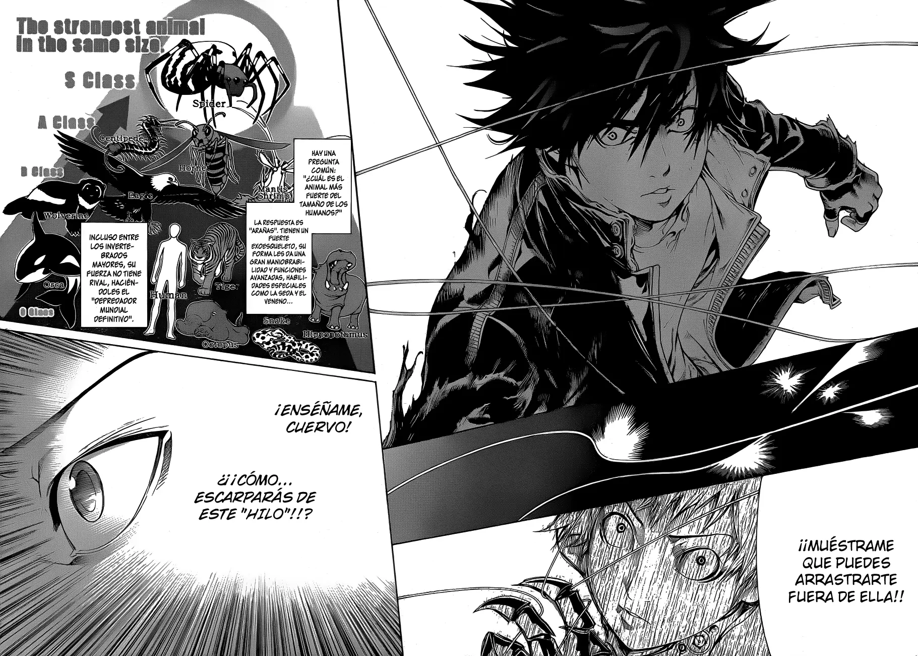 Air Gear - Capítulo 310 - Página 8 - LectorTMOo