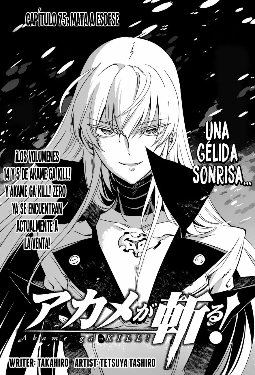 Akame Ga Kill! - Capítulo 75 - Página 3 - LectorTMOo