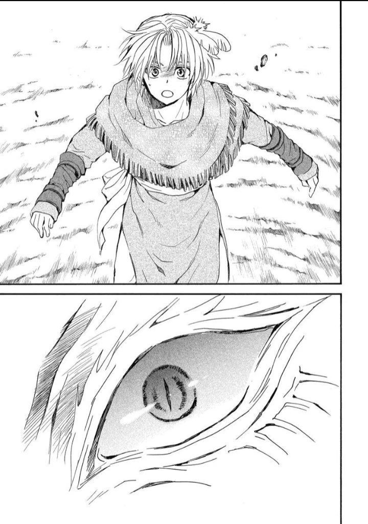 Akatsuki No Yona - Capítulo 249 - Página 27 - LectorTMOo