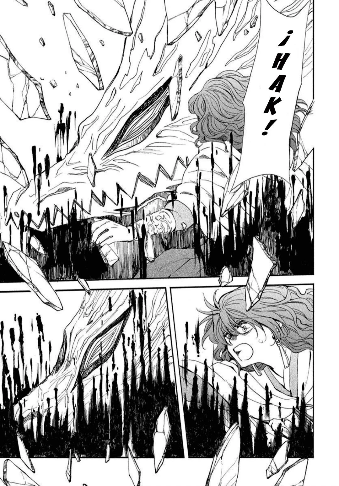Akatsuki No Yona - Capítulo 271 - Página 12 - LectorTMOo