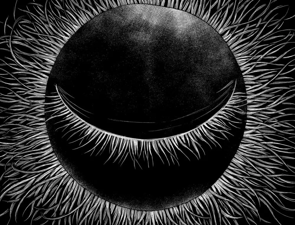 Aku no Hana - Capítulo 33 - Página 36 - LectorTMOo