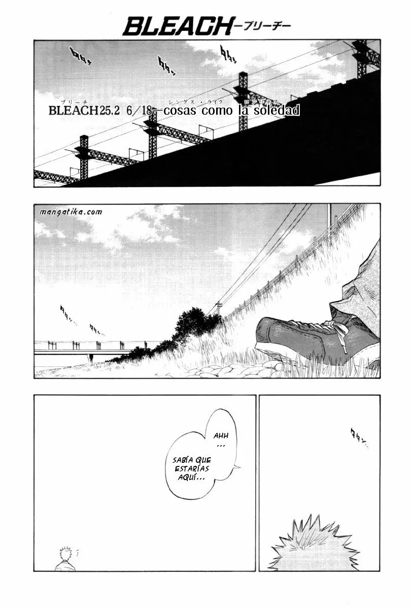 Bleach - Capítulo 25.5 - Página 1 - LectorTMOo
