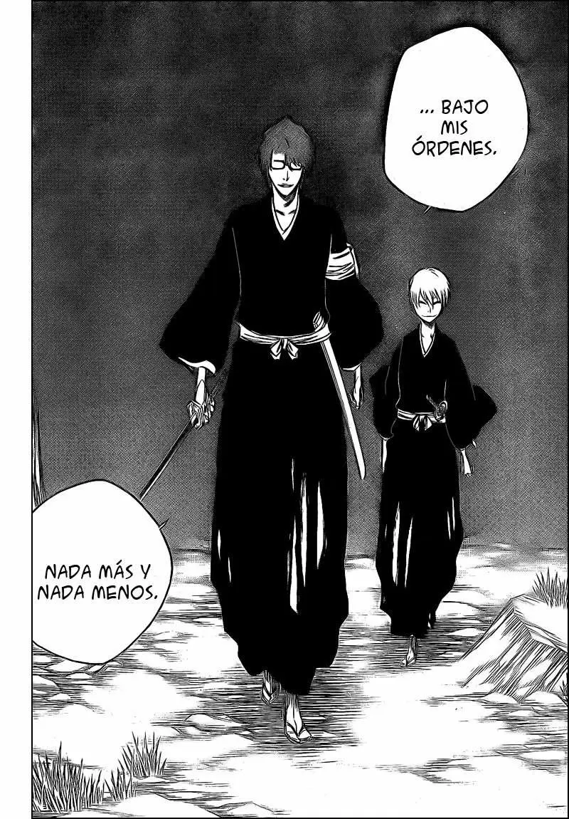 Bleach - Capítulo 315.9 - Página 18 - LectorTMOo