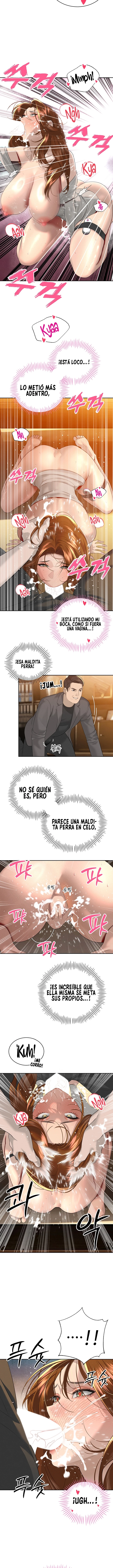 El Suegro En Medio de Todas - Capítulo 23 - Página 11 - LectorTMOo
