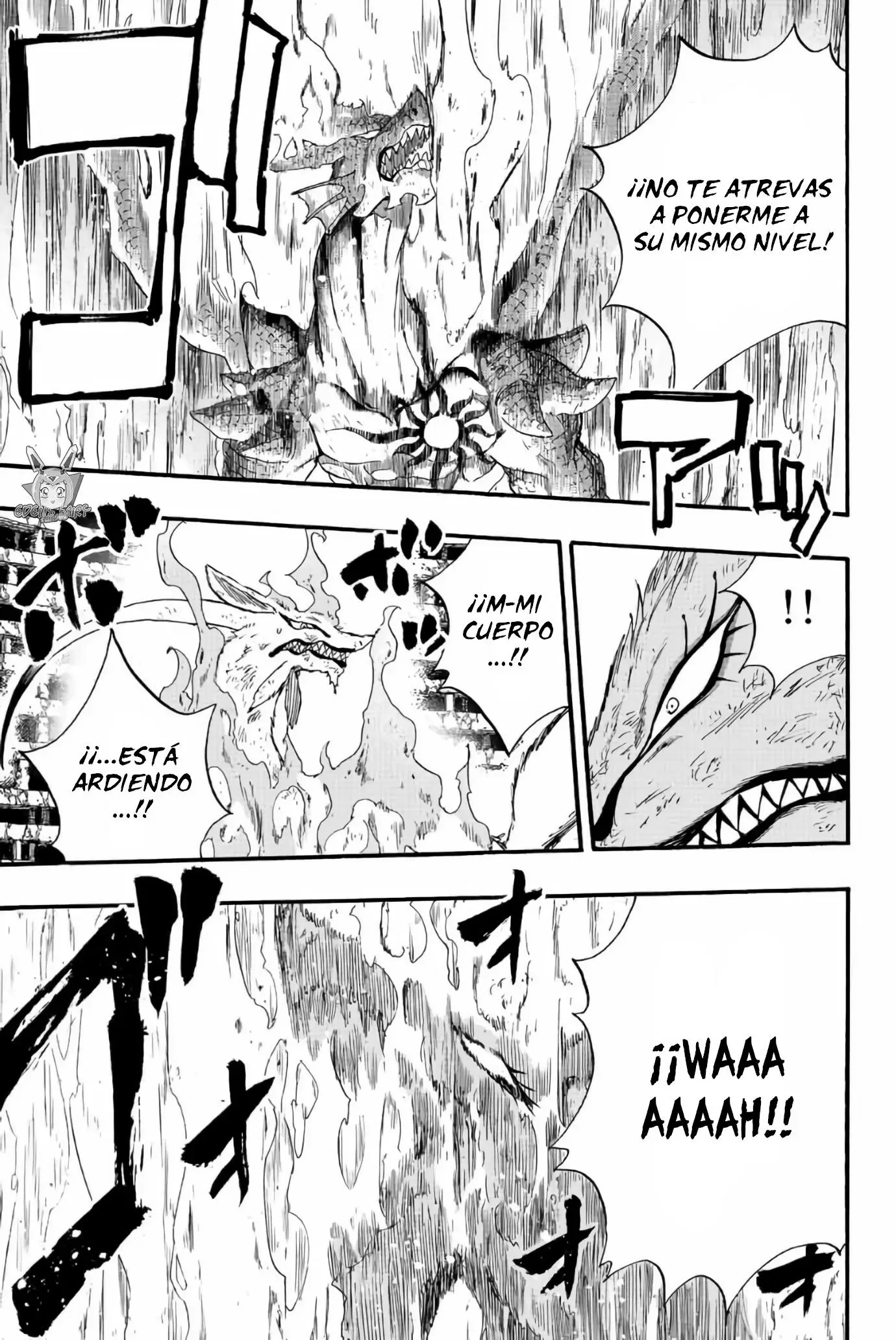Fairy Tail: 100 years quest - Capítulo 107 - Página 12 - LectorTMOo