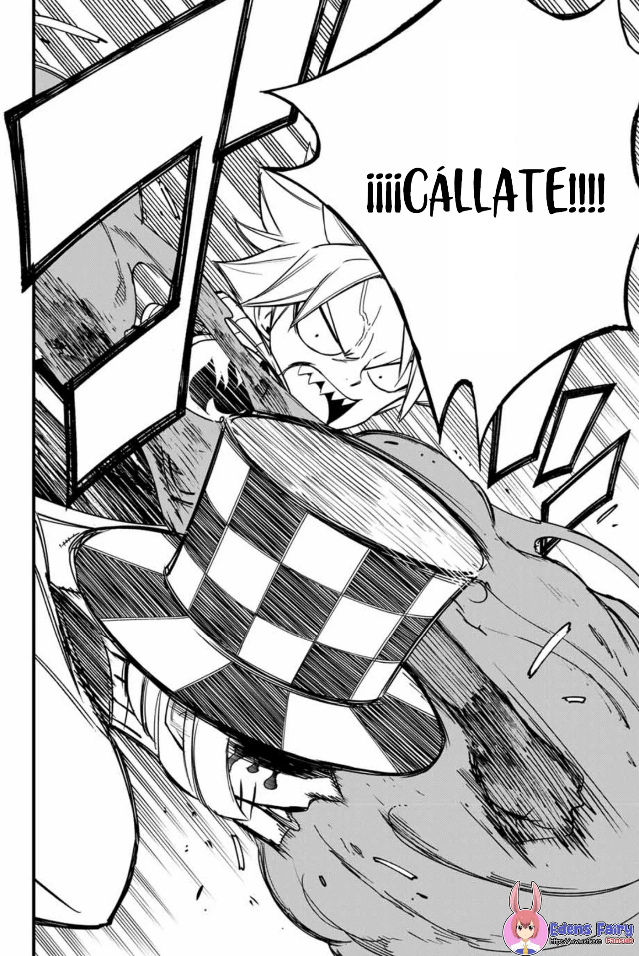Fairy Tail: 100 years quest - Capítulo 157 - Página 13 - LectorTMOo