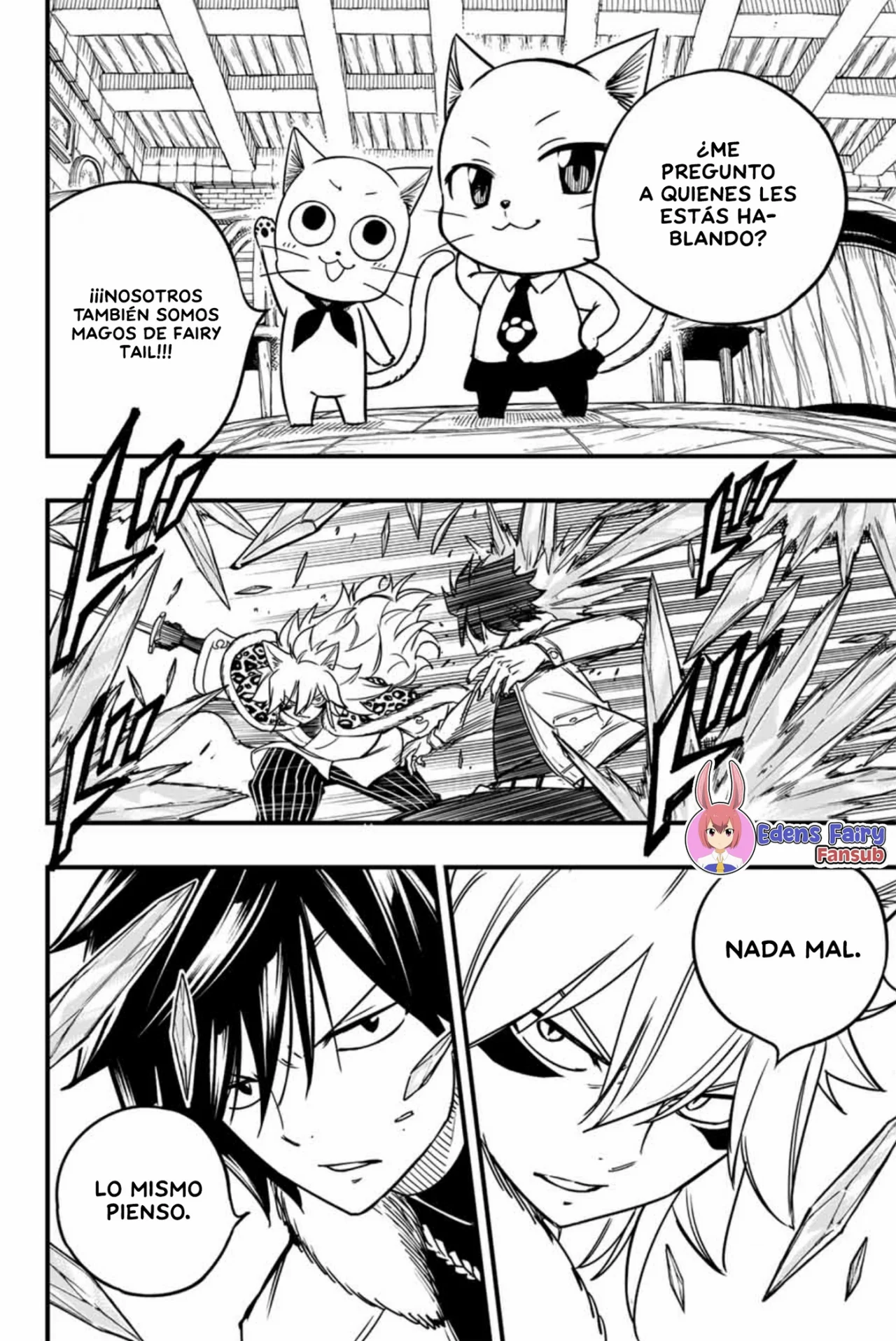 Fairy Tail: 100 years quest - Capítulo 160 - Página 13 - LectorTMOo
