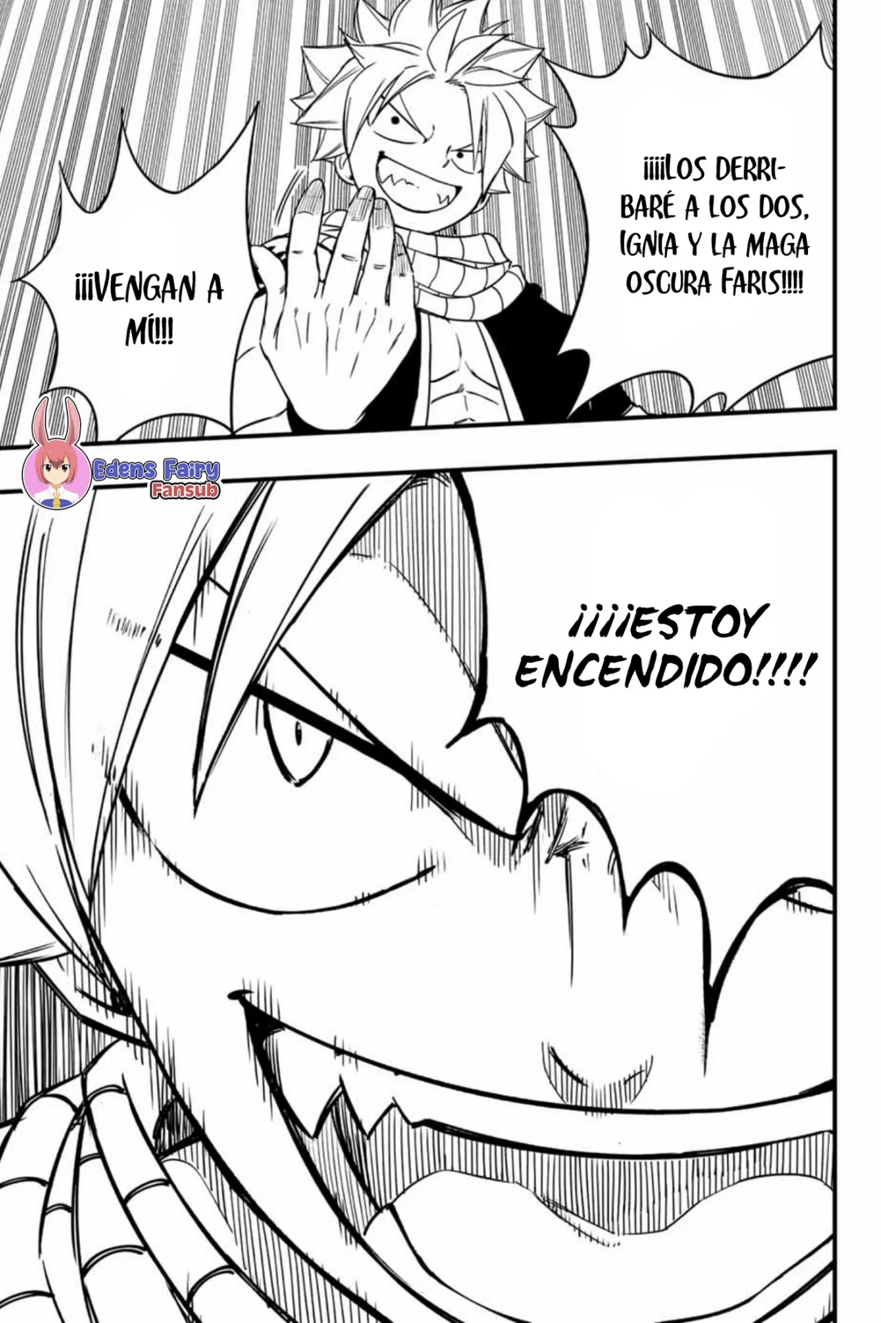 Fairy Tail: 100 years quest - Capítulo 164 - Página 13 - LectorTMOo