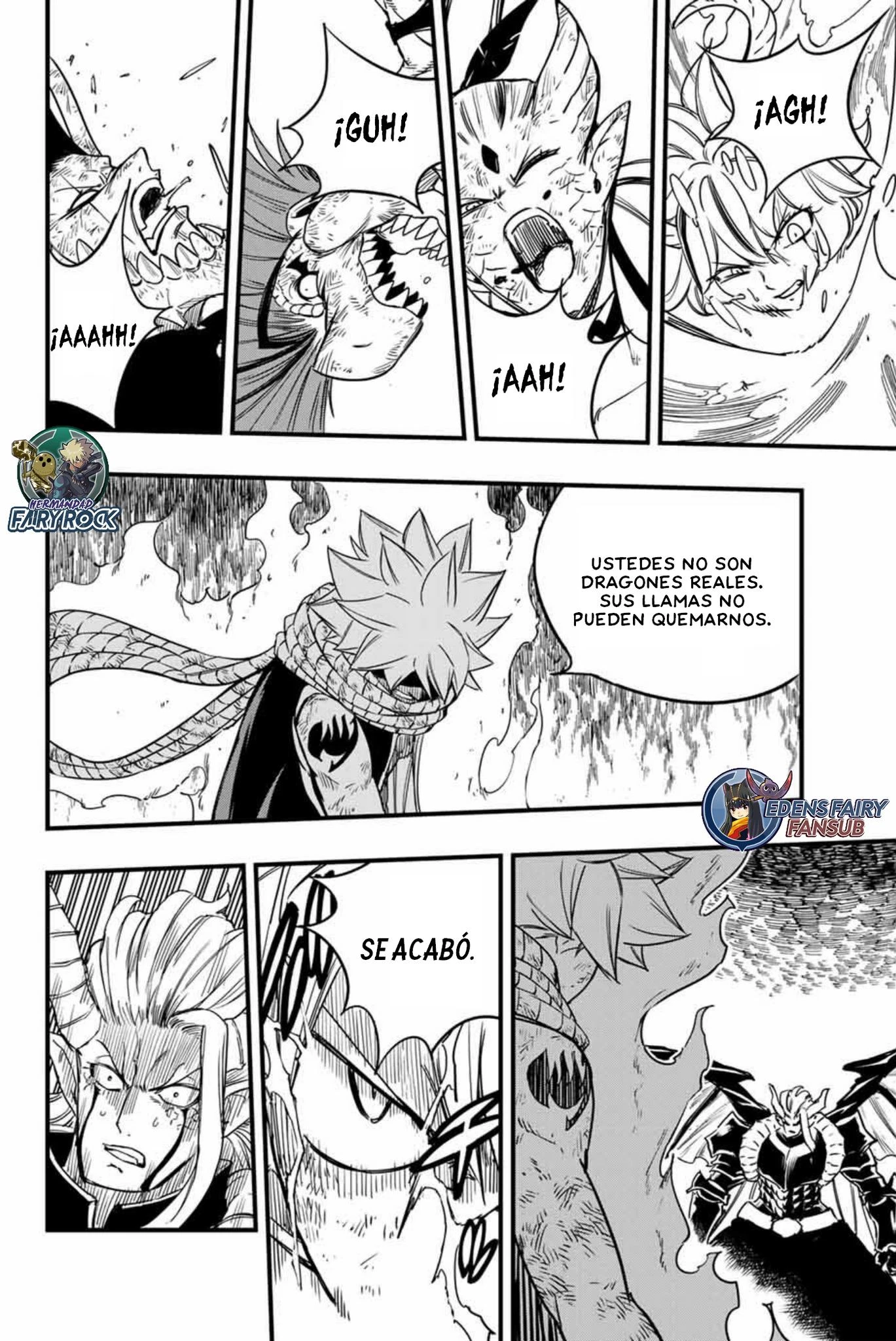 Fairy Tail: 100 years quest - Capítulo 191 - Página 17 - LectorTMOo