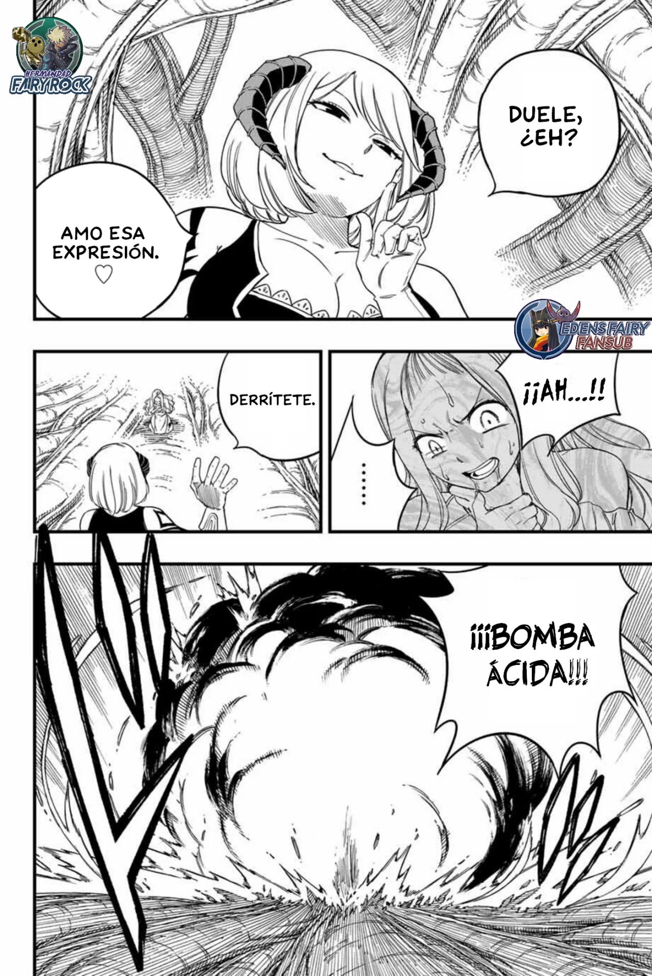 Fairy Tail: 100 years quest - Capítulo 196 - Página 13 - LectorTMOo