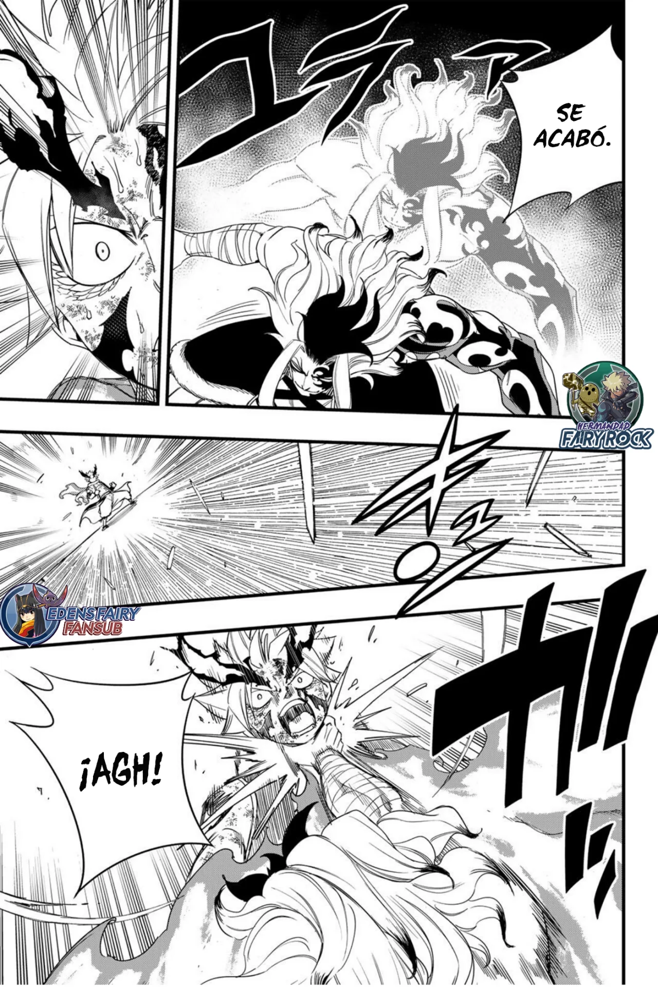 Fairy Tail: 100 years quest - Capítulo 205 - Página 14 - LectorTMOo