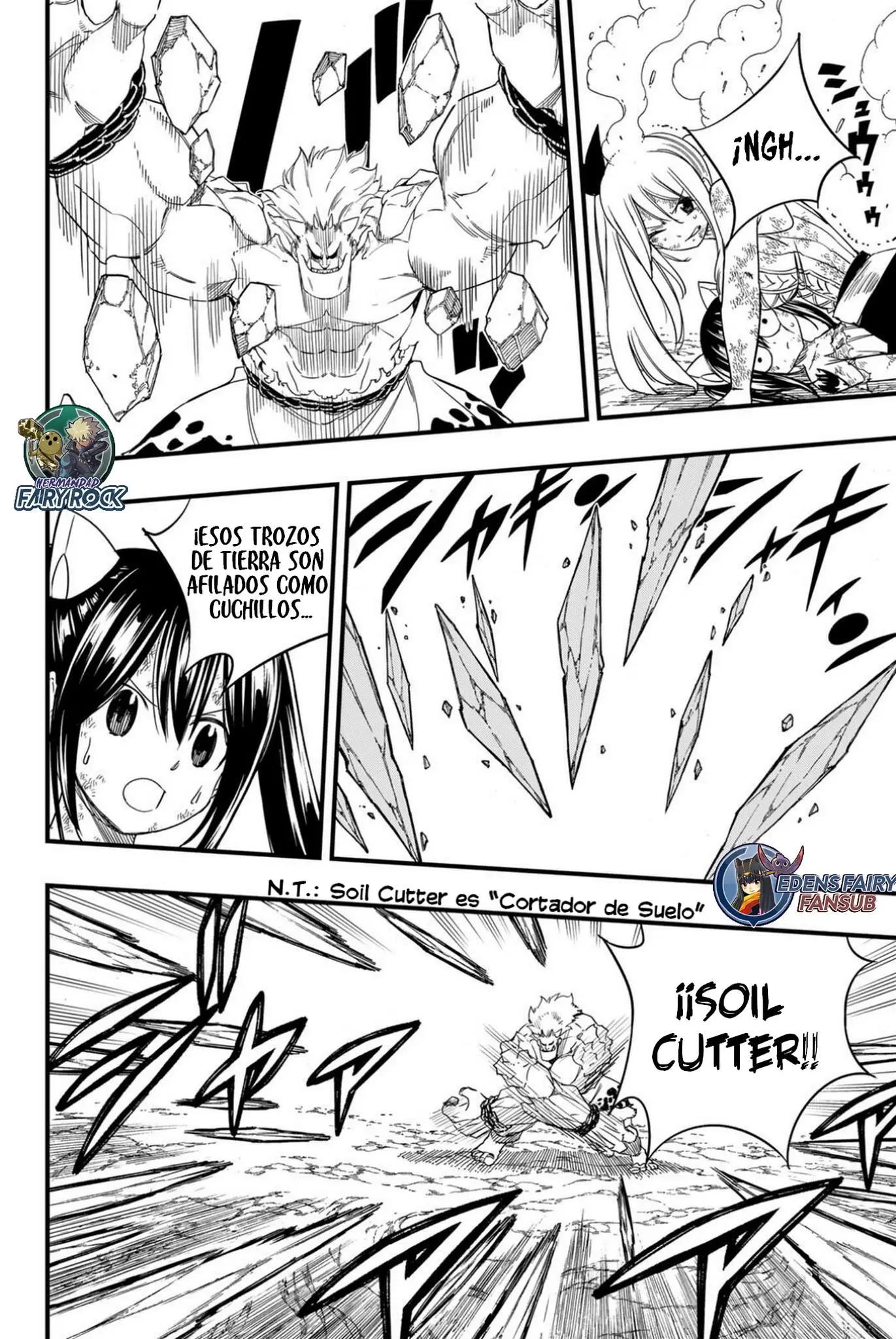 Fairy Tail: 100 years quest - Capítulo 207 - Página 12 - LectorTMOo
