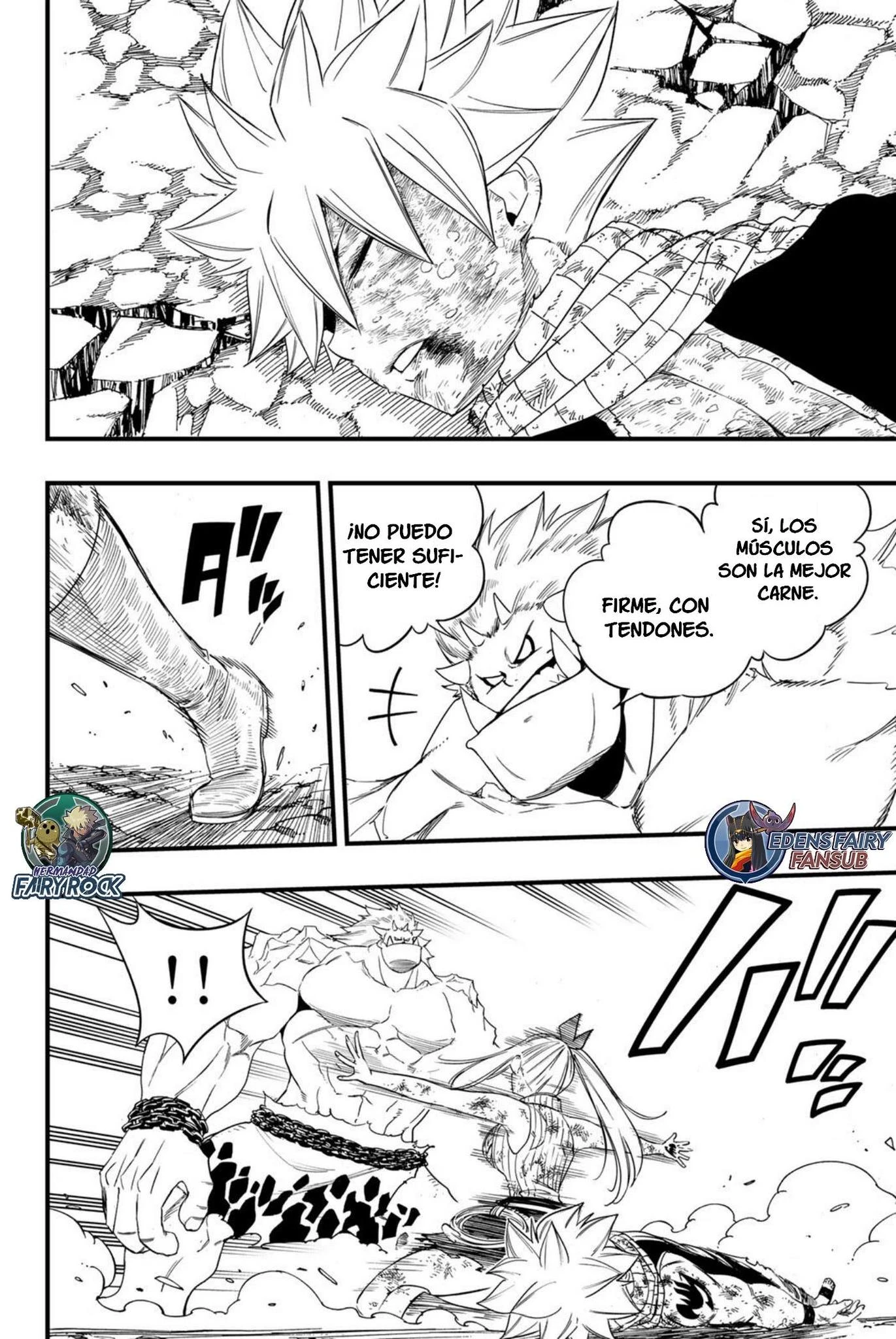 Fairy Tail: 100 years quest - Capítulo 209 - Página 14 - LectorTMOo