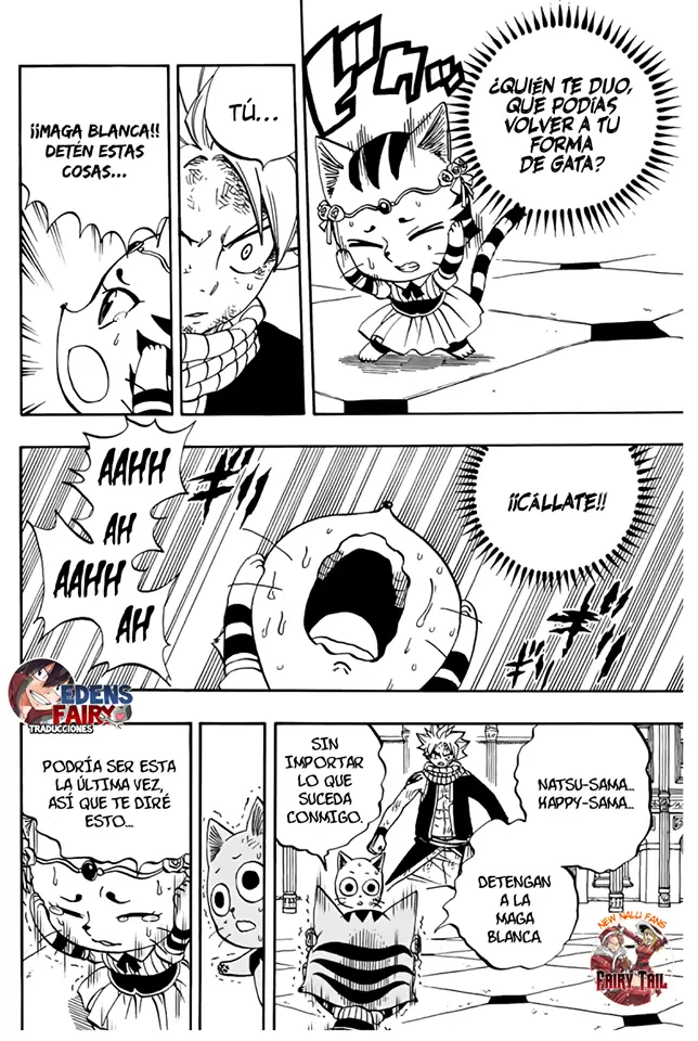 Fairy Tail: 100 years quest - Capítulo 45 - Página 19 - LectorTMOo