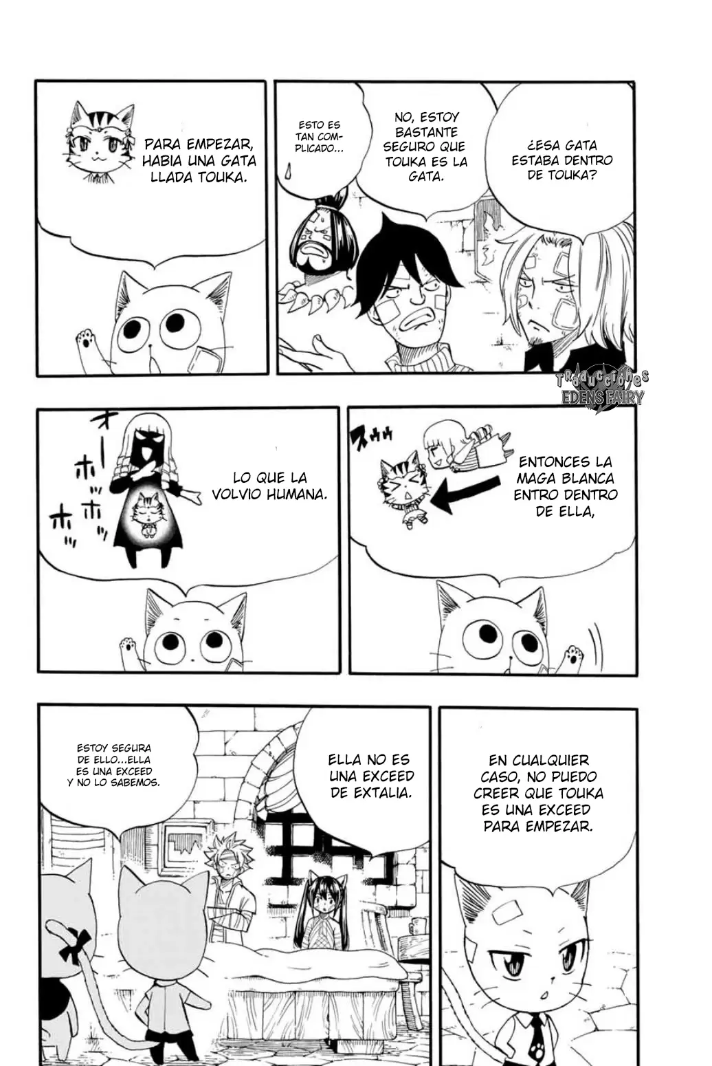 Fairy Tail: 100 years quest - Capítulo 63 - Página 13 - LectorTMOo