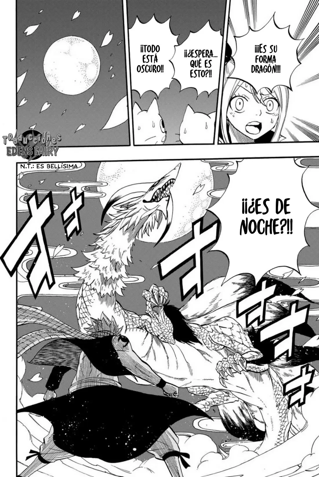 Fairy Tail: 100 years quest - Capítulo 68 - Página 17 - LectorTMOo
