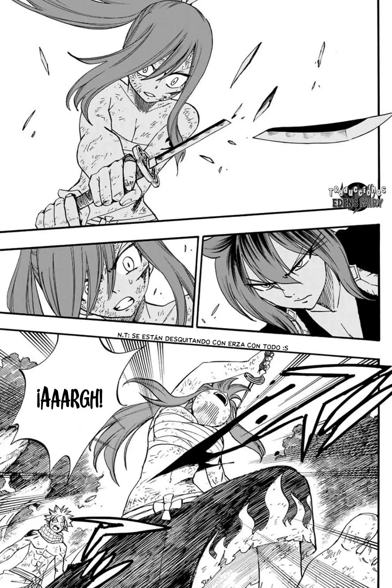 Fairy Tail: 100 years quest - Capítulo 80 - Página 14 - LectorTMOo
