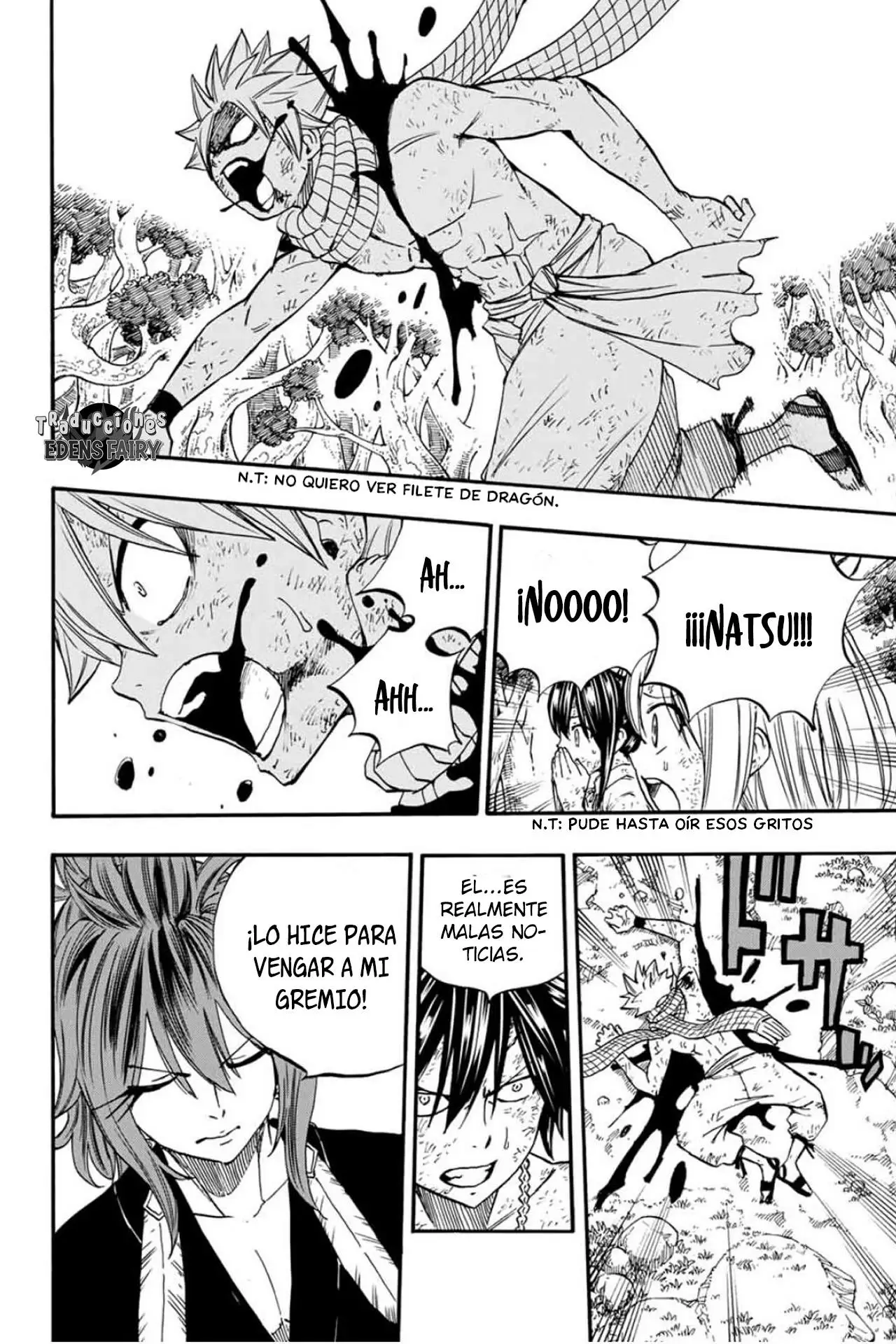 Fairy Tail: 100 years quest - Capítulo 80 - Página 17 - LectorTMOo