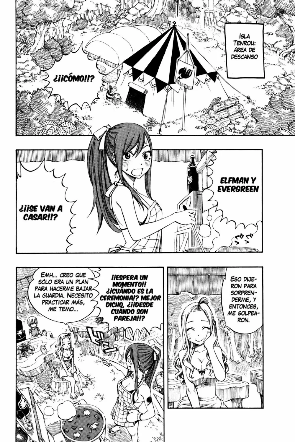 Fairy Tail - Capítulo 209 - Página 10 - LectorTMOo