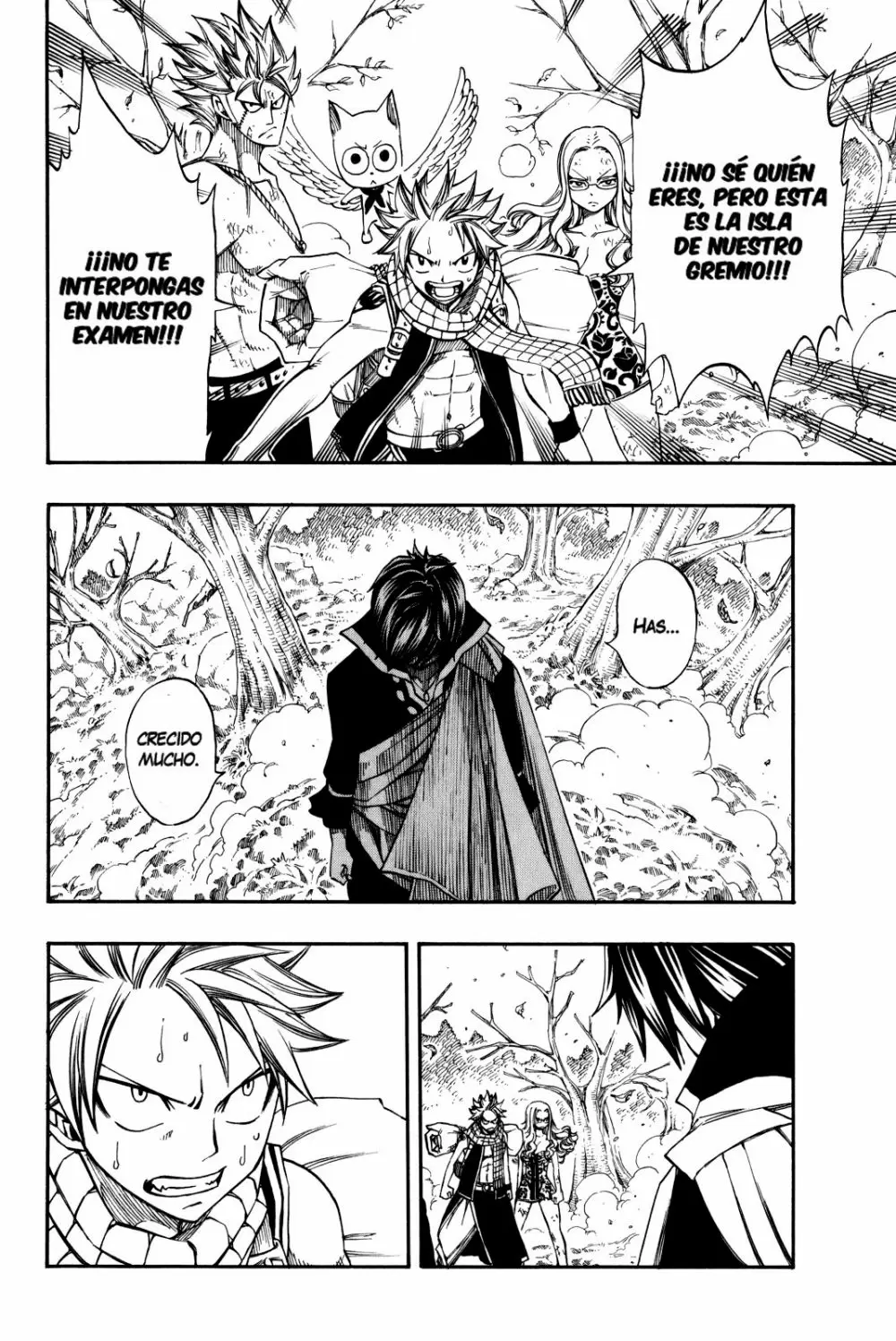 Fairy Tail - Capítulo 209 - Página 24 - LectorTMOo