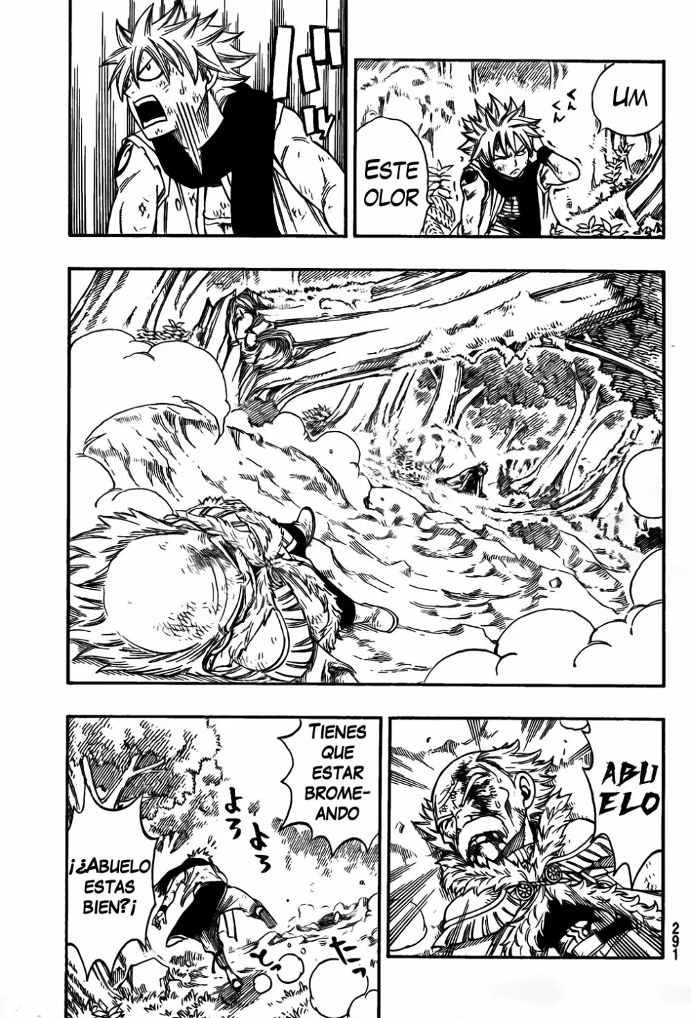 Fairy Tail - Capítulo 218 - Página 12 - LectorTMOo