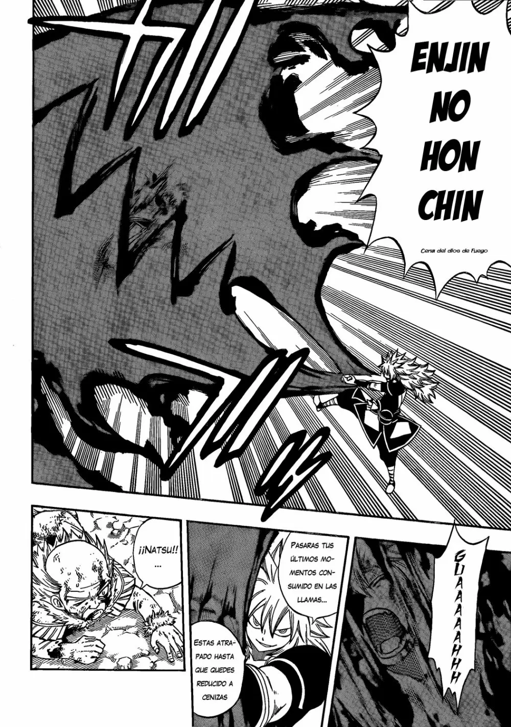 Fairy Tail - Capítulo 219 - Página 10 - LectorTMOo