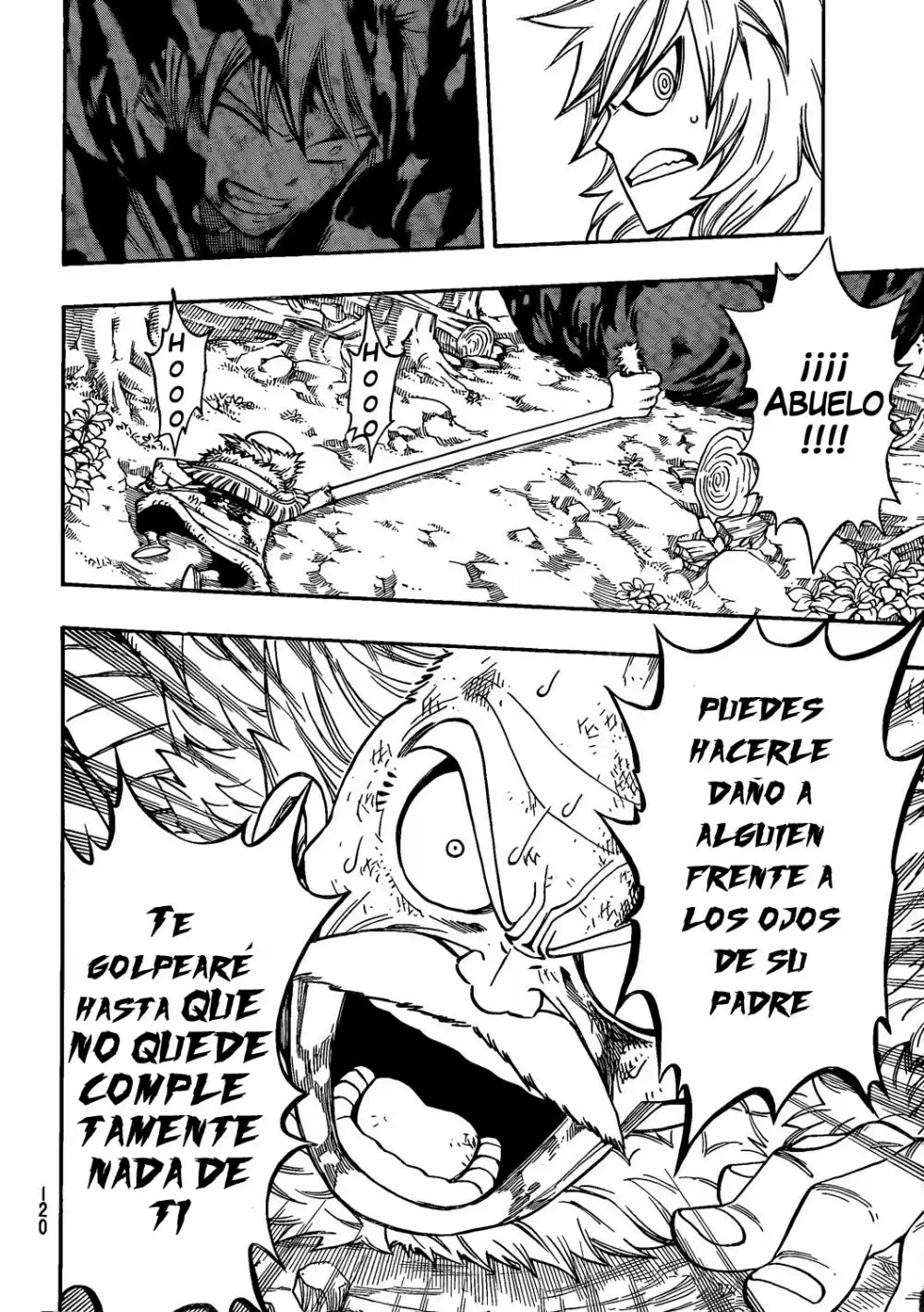 Fairy Tail - Capítulo 219 - Página 12 - LectorTMOo
