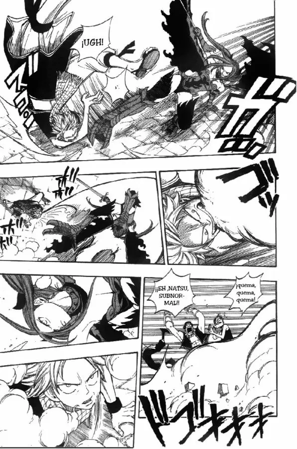 Fairy Tail - Capítulo 22 - Página 17 - LectorTMOo