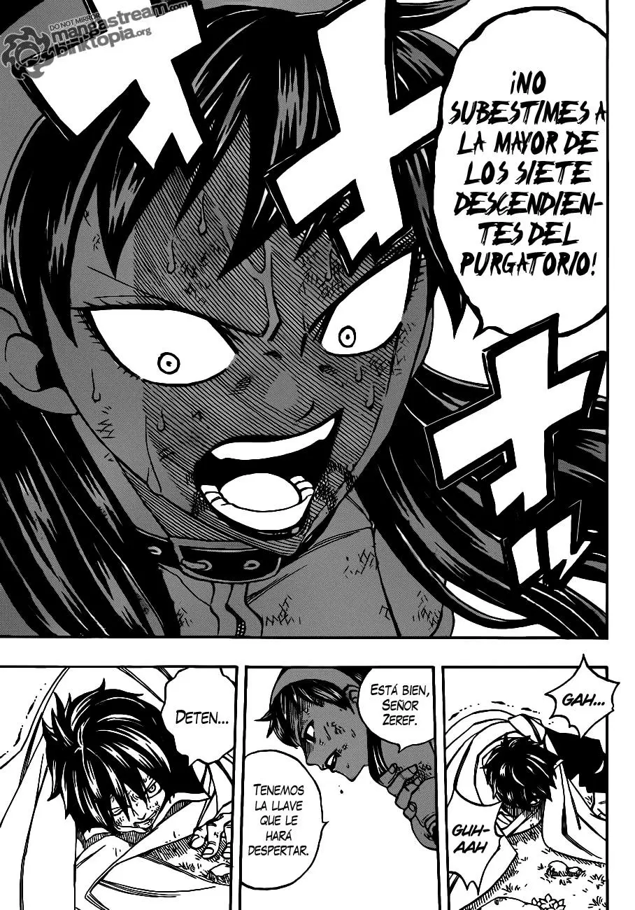 Fairy Tail - Capítulo 221 - Página 17 - LectorTMOo