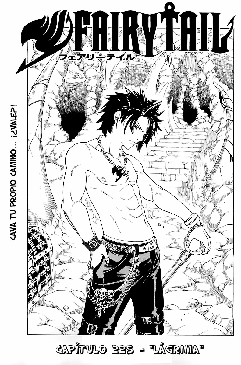 Fairy Tail - Capítulo 225 - Página 1 - LectorTMOo