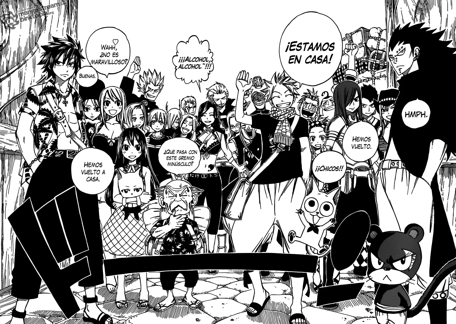 Fairy Tail - Capítulo 255 - Página 12 - LectorTMOo