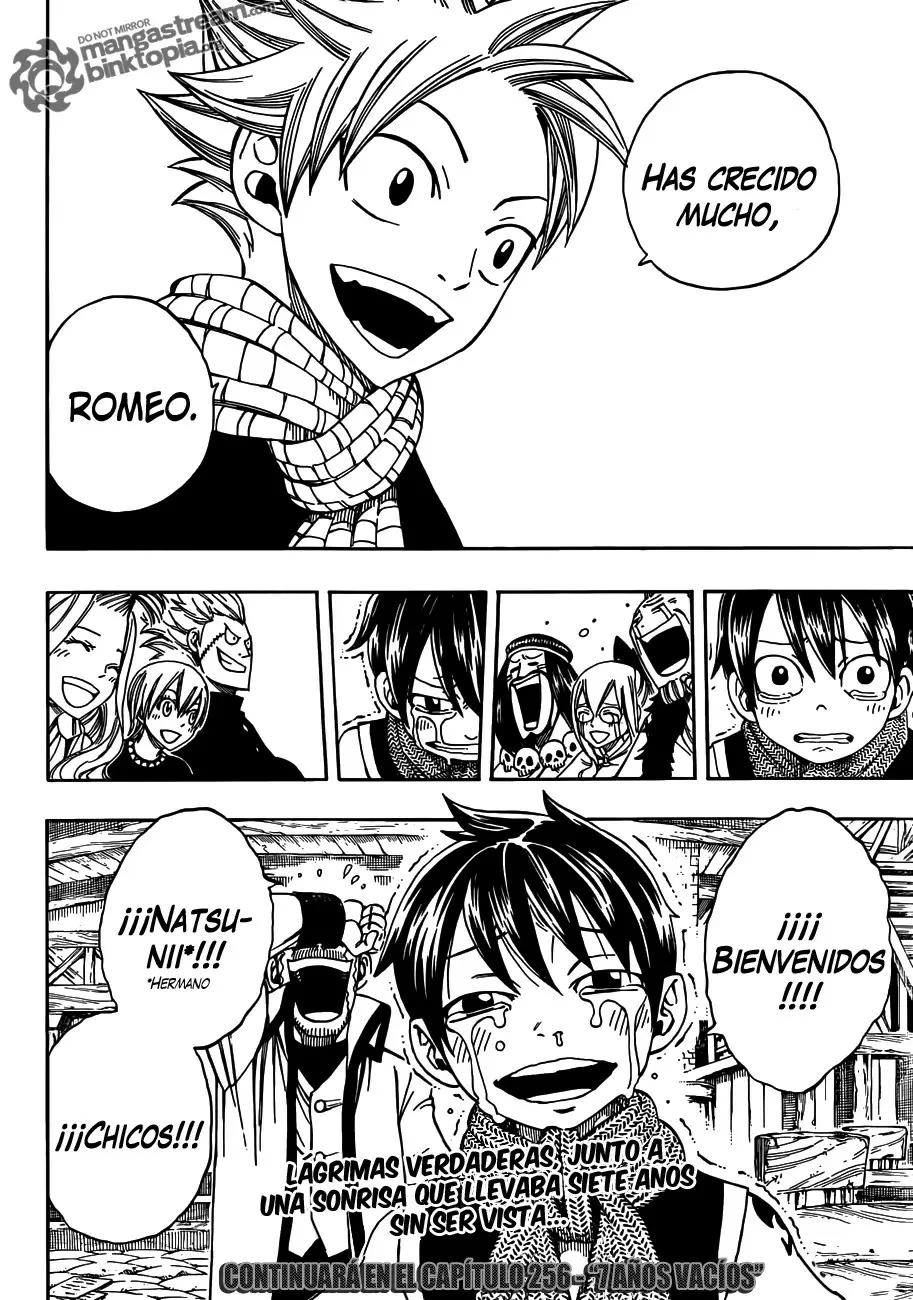 Fairy Tail - Capítulo 255 - Página 19 - LectorTMOo