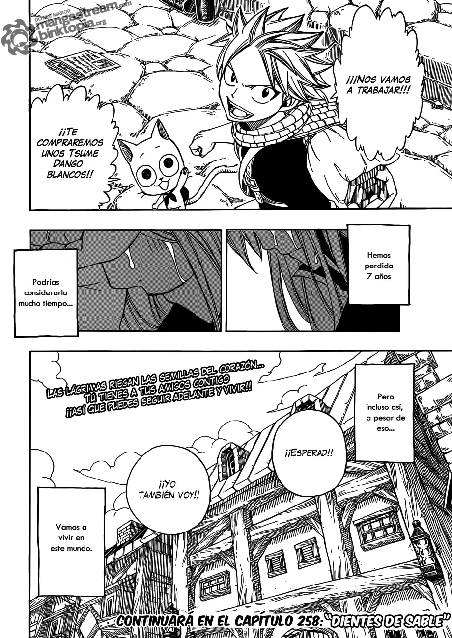 Fairy Tail - Capítulo 257 - Página 20 - LectorTMOo