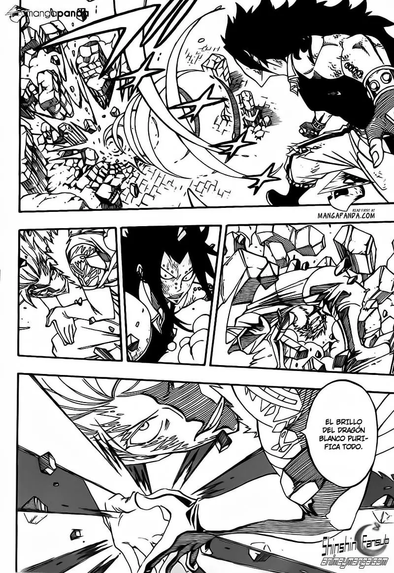 Fairy Tail - Capítulo 295 - Página 14 - LectorTMOo