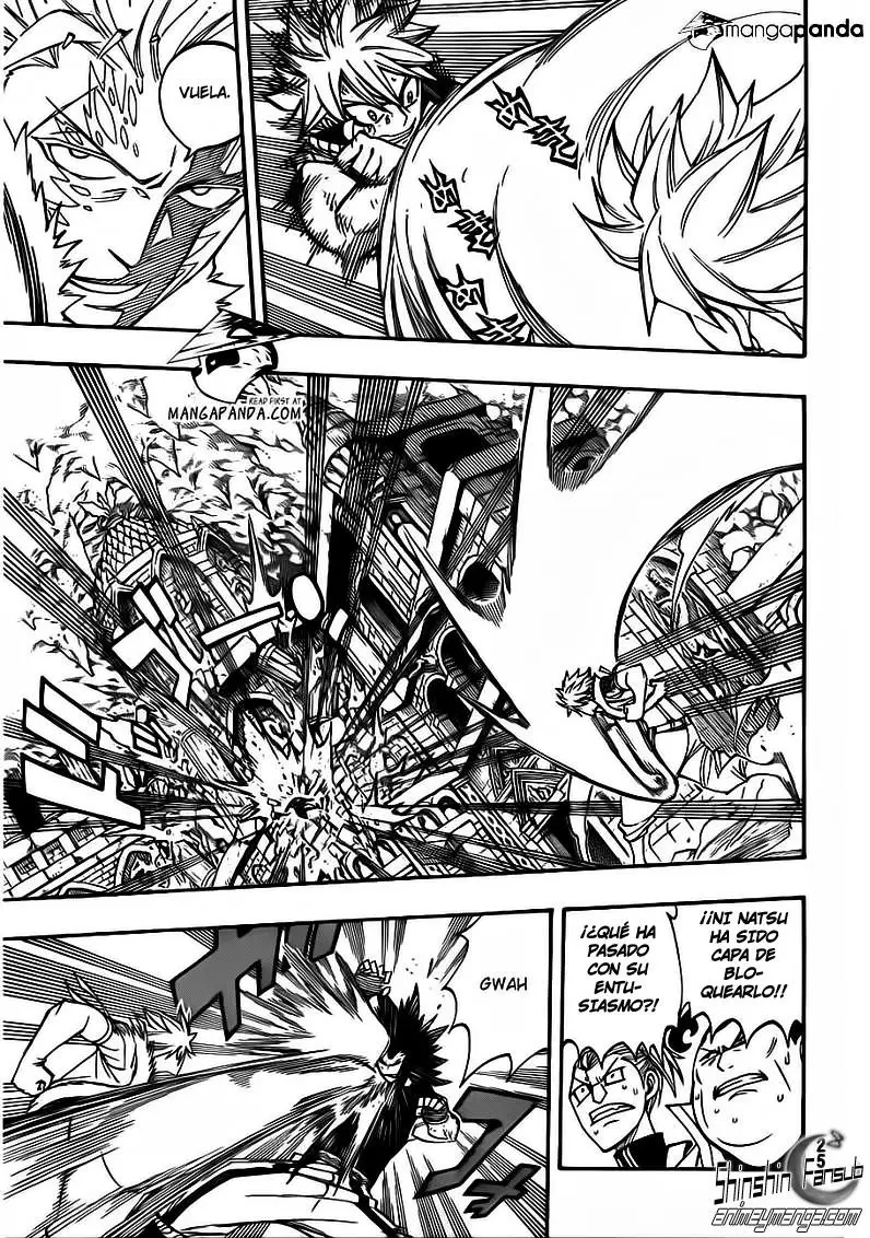 Fairy Tail - Capítulo 295 - Página 17 - LectorTMOo
