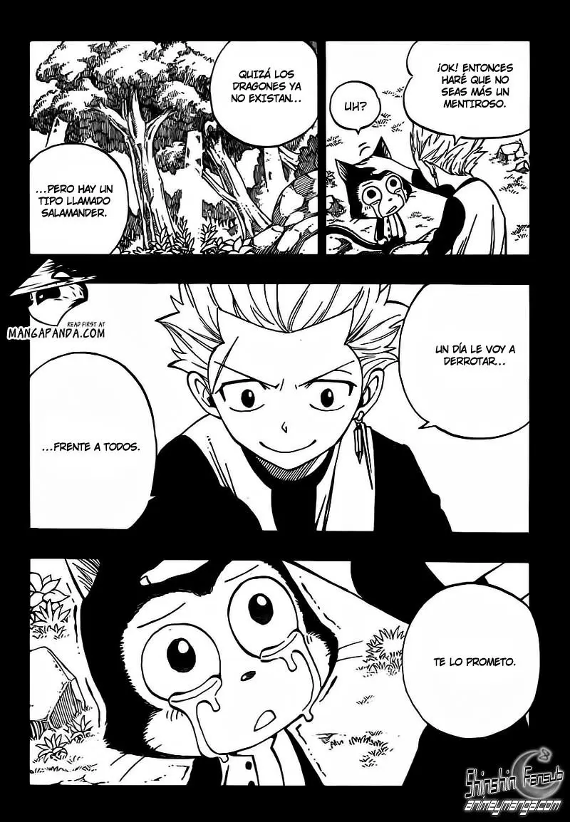 Fairy Tail - Capítulo 295 - Página 19 - LectorTMOo