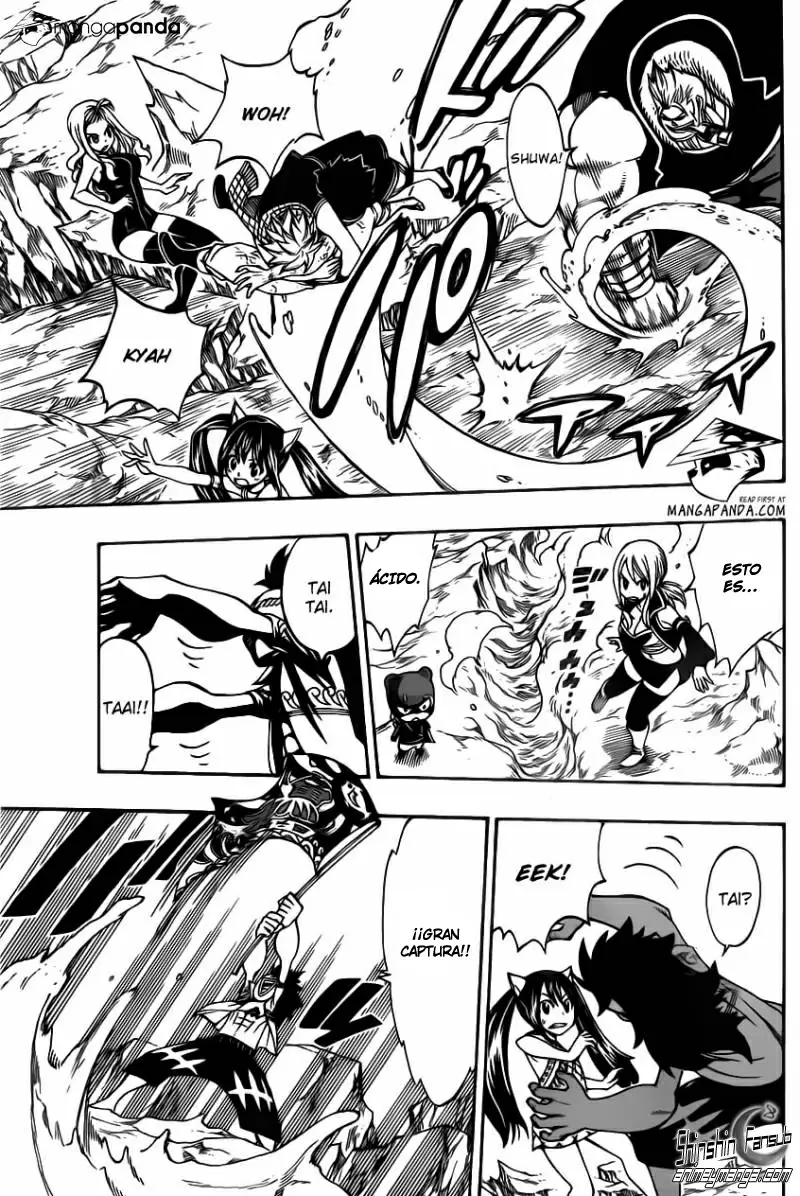 Fairy Tail - Capítulo 307 - Página 15 - LectorTMOo