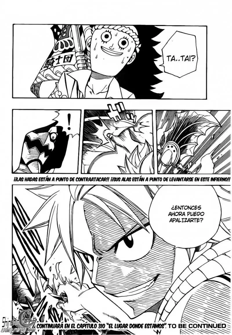 Fairy Tail - Capítulo 309 - Página 20 - LectorTMOo