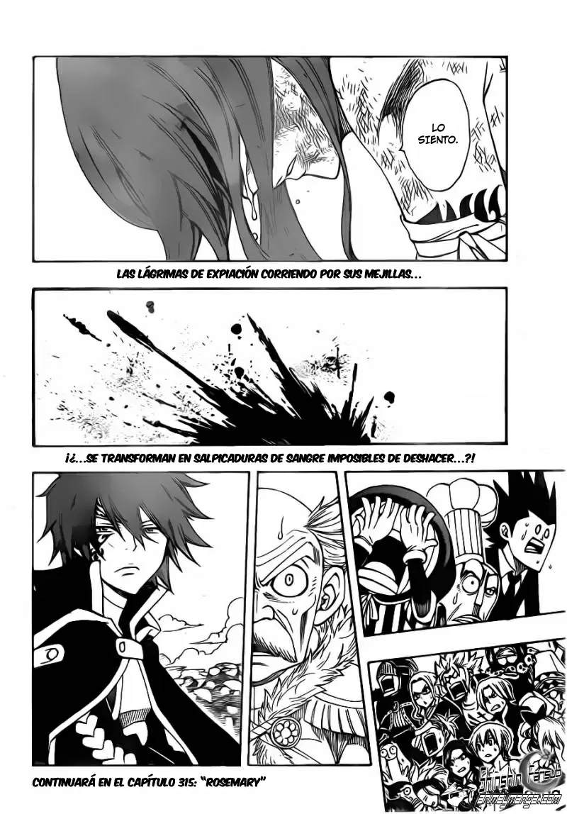 Fairy Tail - Capítulo 314 - Página 20 - LectorTMOo